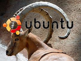 Intrepid Ibex Ubuntu