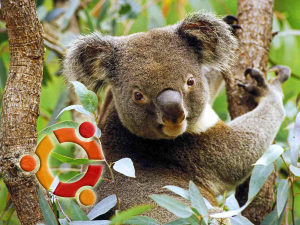 Ubuntu 9.10 Karmic Koala