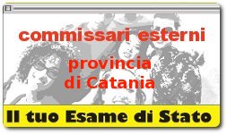 Esami di Stato maturità 2010 commissari esterni Catania