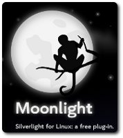 moonlight
