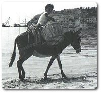 L’uso del mezzo proprio tutto da rivedere?