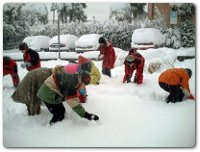 neve scuola