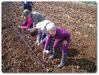 Nasce Ortogym, dieta mediterranea e’ anche movimento – Festival della Natura