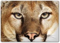 LE IMPRESSIONI A UNA SETTIMANA DAL DEBUTTO – Mountain Lion, la prova