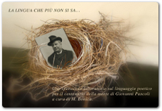 La lingua che più non si sa …