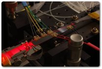 Il primo successo che avvicina i computer quantistici, un chip prevede il comportamento degli elettroni in un percorso