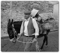 La favola dell’asino e del suo padrone
