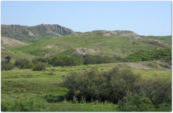 Colline con calanchi originati dalla gully erosion - Alveo torrente Cubba – Misterbianco (CT) - anno 2012 Colline con calanchi originati dalla gully erosion - Alveo torrente Cubba – Misterbianco (CT) - anno 2012