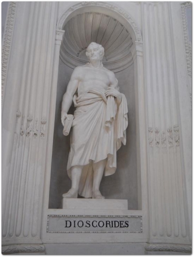 Le statue di Teofrasto e Dioscoride poste in un lato della sala ottagonale del Gymnasium. Entrambi gli studiosi, medici maghi, sono stati i precursori di una prima solida fase nella conoscenza della botanica e del regno vegetale e dell'impiego delle piante medicinali Le statue di Teofrasto e Dioscoride poste in un lato della sala ottagonale del Gymnasium. Entrambi gli studiosi, medici maghi, sono stati i precursori di una prima solida fase nella conoscenza della botanica e del regno vegetale e dell'impiego delle piante medicinali