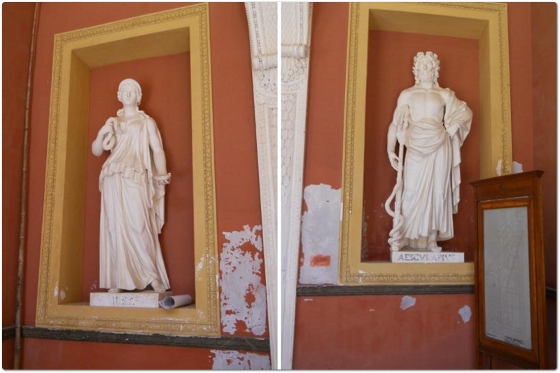 Le divinità mitologiche, di Igea, figlia di Asclepio e di Epione, e di Esculapio, collocate in nicchie nel portico anteriore del Gymnasium. Il nome di Igea significa salute, rimedio, medicina. Esculapio nome romano di Asclepio è raffigurato con il serpente salutifero. Igea era la divinità invocata per la prevenzione delle malattie e dei danni fisici, mentre Asceplio o Esculapio veniva invocato per la cura delle malattie. Il serpente per la capacità di produrre veleni, per la vita sotterranea e misteriosa è simbolo di potenza e di medicamento ed è associato alle due divinità Le divinità mitologiche, di Igea, figlia di Asclepio e di Epione, e di Esculapio, collocate in nicchie nel portico anteriore del Gymnasium. Il nome di Igea significa salute, rimedio, medicina. Esculapio nome romano di Asclepio è raffigurato con il serpente salutifero. Igea era la divinità invocata per la prevenzione delle malattie e dei danni fisici, mentre Asceplio o Esculapio veniva invocato per la cura delle malattie. Il serpente per la capacità di produrre veleni, per la vita sotterranea e misteriosa è simbolo di potenza e di medicamento ed è associato alle due divinità