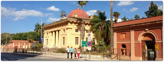 l'orto botanico di Palermo l'orto botanico di Palermo