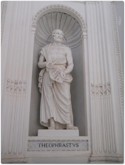 Le statue di Teofrasto e Dioscoride poste in un lato della sala ottagonale del Gymnasium. Entrambi gli studiosi, medici maghi, sono stati i precursori di una prima solida fase nella conoscenza della botanica e del regno vegetale e dell'impiego delle piante medicinali Le statue di Teofrasto e Dioscoride poste in un lato della sala ottagonale del Gymnasium. Entrambi gli studiosi, medici maghi, sono stati i precursori di una prima solida fase nella conoscenza della botanica e del regno vegetale e dell'impiego delle piante medicinali