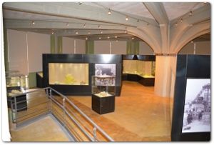 Il Museo della Domenica: L’Album di famiglia della Terra