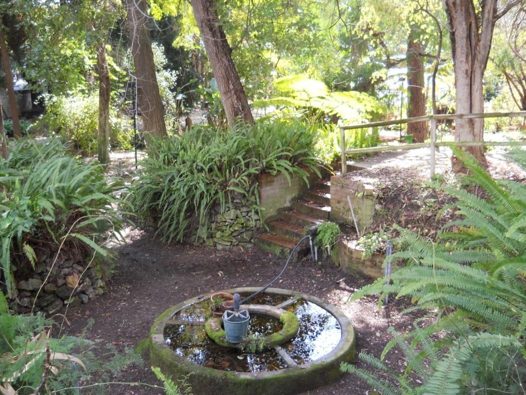 Acquario dell'Orto Botanico di Messina per le idrofite