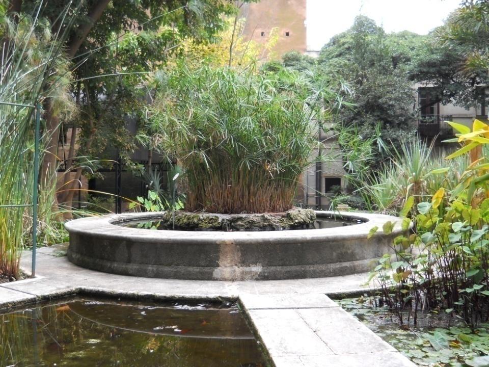 Acquario diviso in 8 vasche dell'Orto Botanico di Catania con piante acquatich