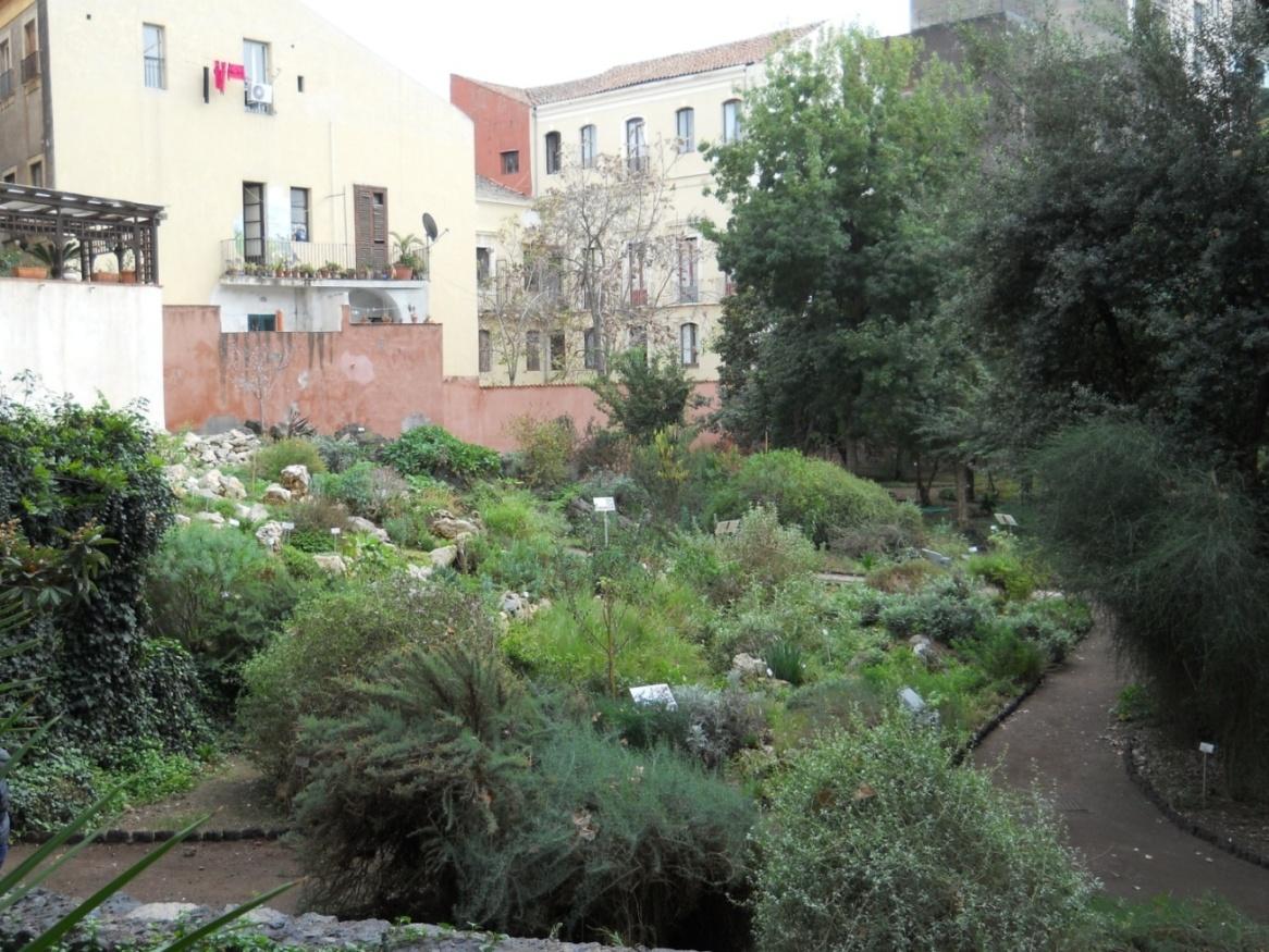 Parziale veduta dell'area dell'Orto Botancio di Catania derivata dal lascito di Mario Coltraro, in cui è sistemato l'Orto Siculo, con le specie mediterranee e tipiche della Sicilia