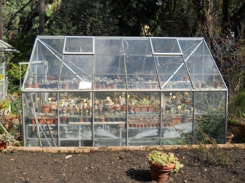 Serra per le piante succulente, collocata nel viale di ingresso dell'Orto Botanico di Messina, 2015