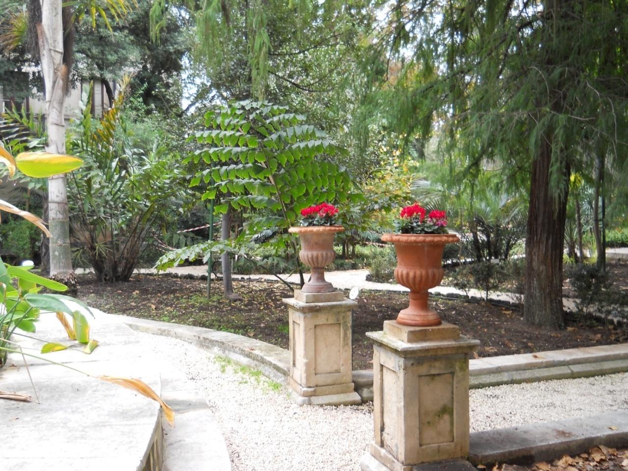 1 - Settori dell'Orto Botanico di Catania che danno vita ad un giardino in stile italiano, in cui il binomio Natura - Cultura è perfettamente riuscito ed è nell'armonia
