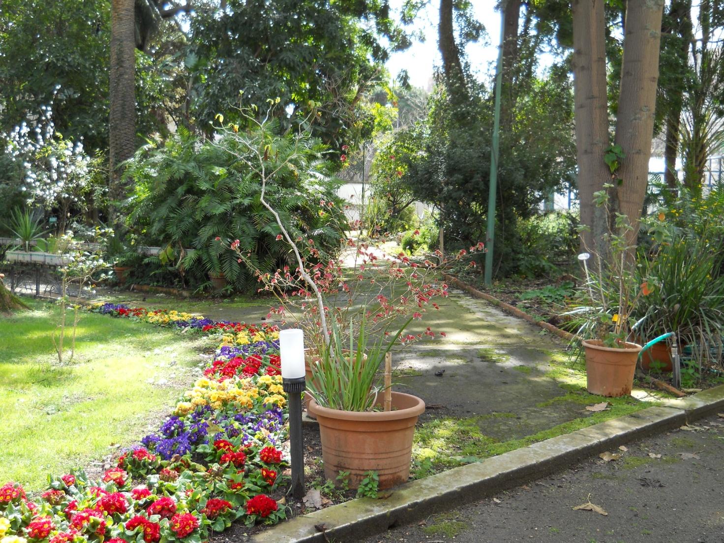 Viali interni che dividono i settori e le aiuole dell'Orto Botanico di Messina, 2015