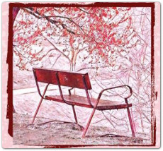 Inaugurazione della Panchina Rossa dell’IC ‘Card. G. B. Dusmet’, dedicata ‘A Giordana dai compagni di ieri e di oggi’