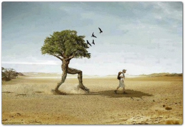 piante e coscienza