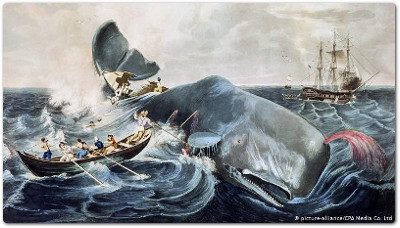 La scuola, Moby Dick e l’eterna lotta tra il bene e il male